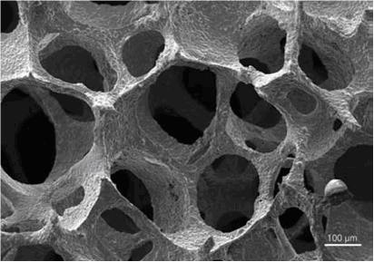 Пенополиуретановая пена со сквозными порами (увеличено), размер ячейки до 2,5 мм